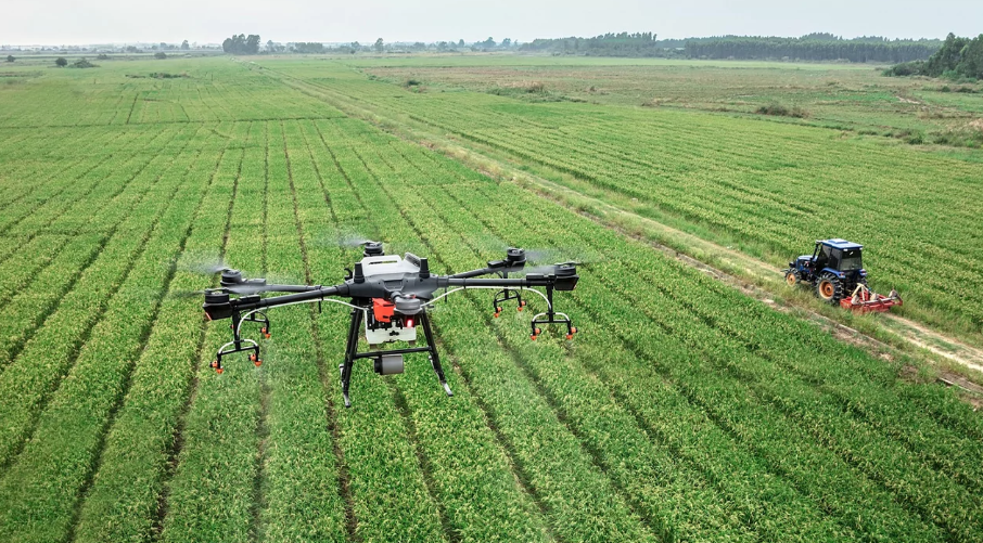 agriculture