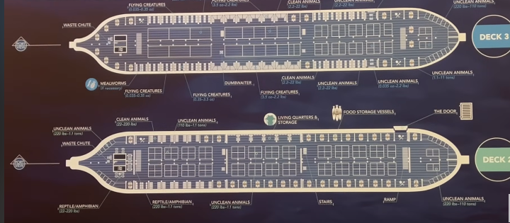 nowa2