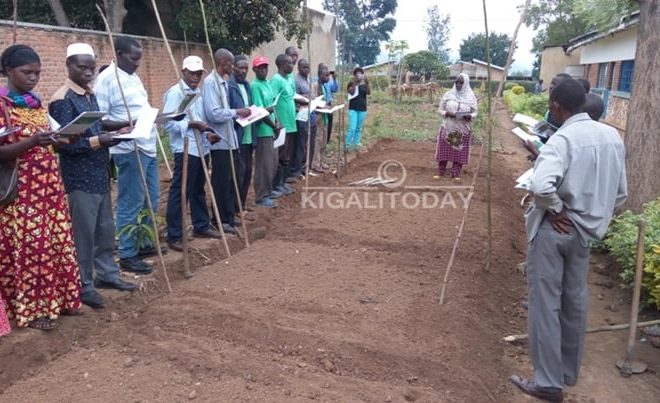 MINAGRI igiye gutangira  gutanga agahimbazamusyi ku bajyana b’ubuhinzi