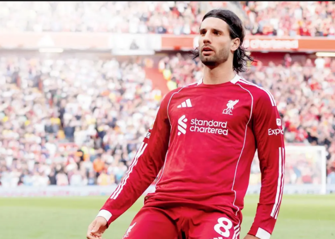 Umunsi nk’uyu mu mateka: Tariki ya 25 Ugushyingo